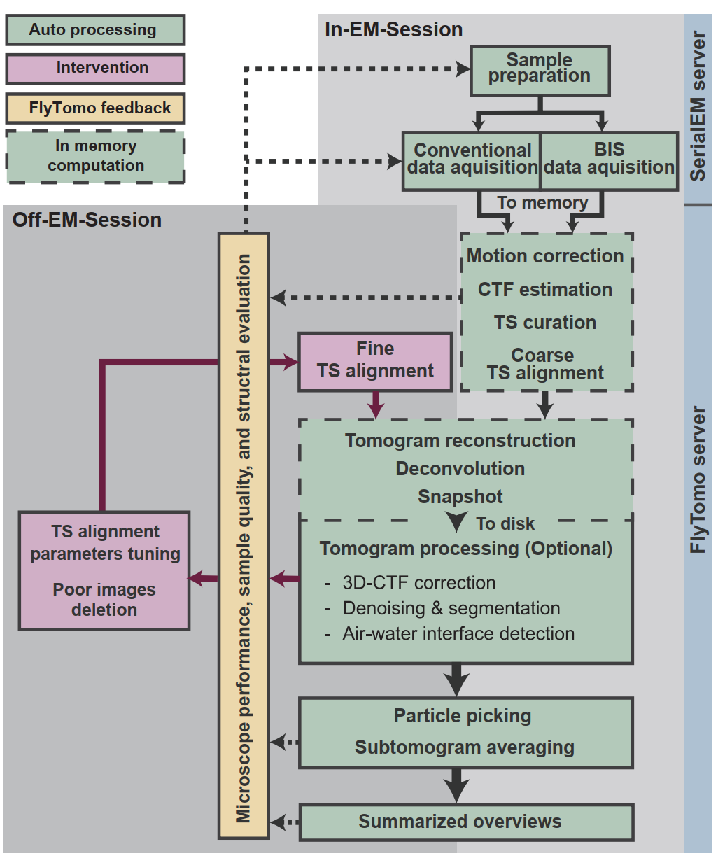 Graphical abstract: FlyTomo streamlined software for cryo-ET processing